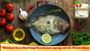 Manfaat Ikan Dori bagi Kesehatan sayang untuk Dilewatkan