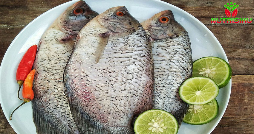 5 Manfaat Ikan Gurame dan Kandungan Nutrisinya